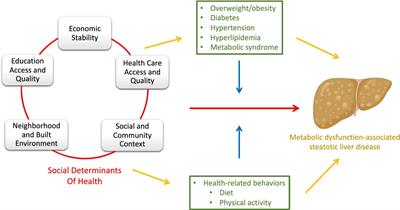 Screening for social determinants of health among populations at risk for MASLD: a scoping review